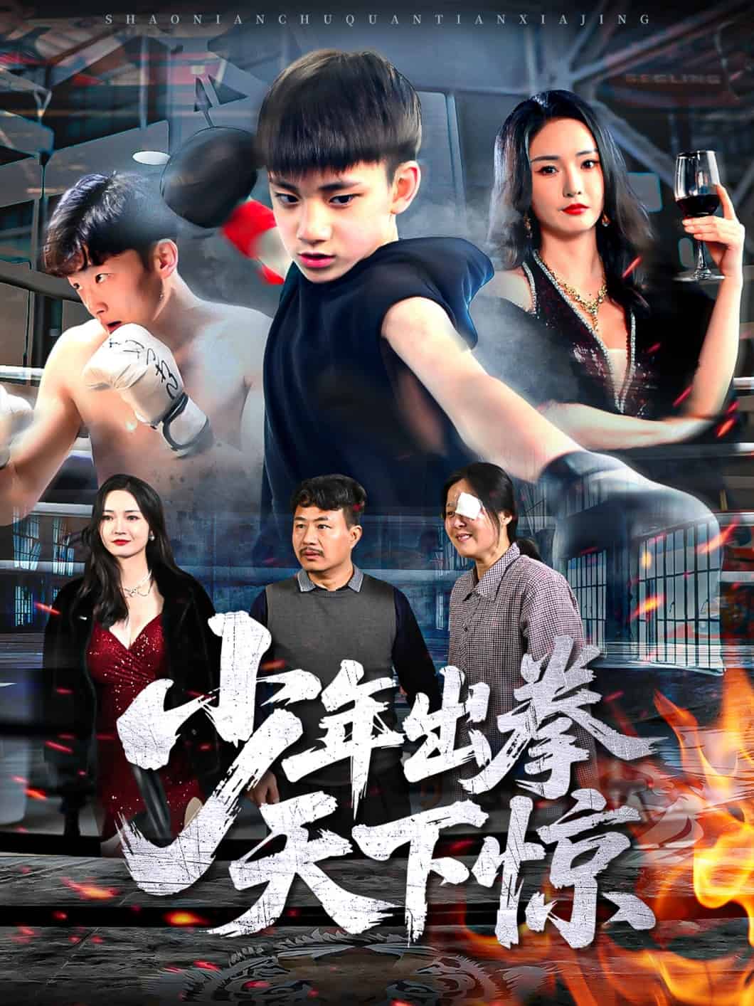 少年出拳天下惊海报