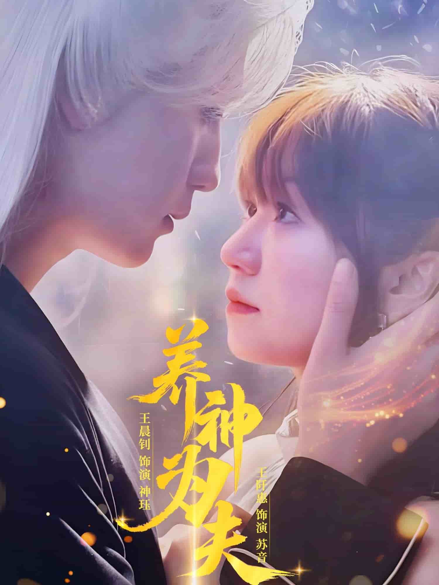 养神为夫海报