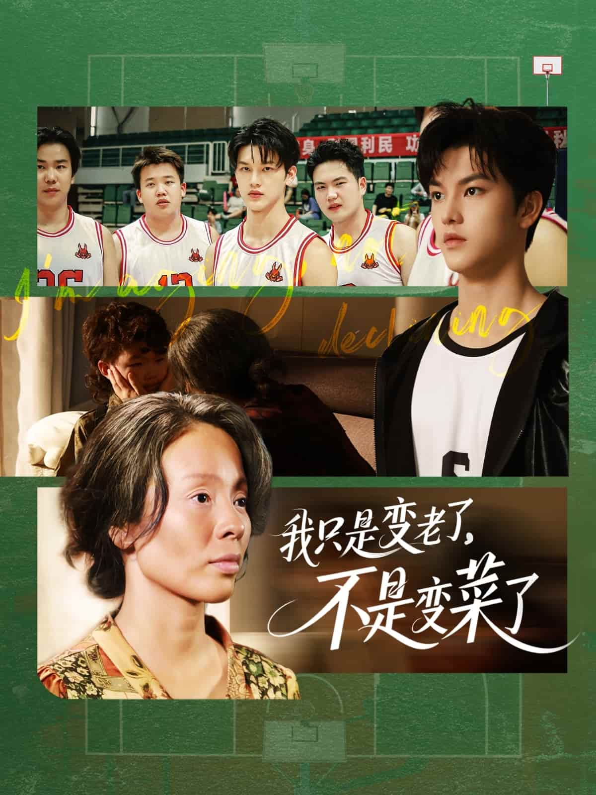 我只是变老了,不是变菜了海报