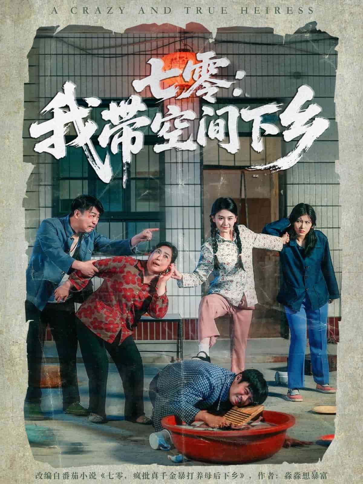 七零:我带空间下乡海报
