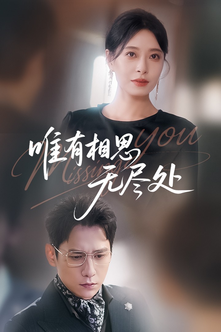 唯有相思无尽处海报