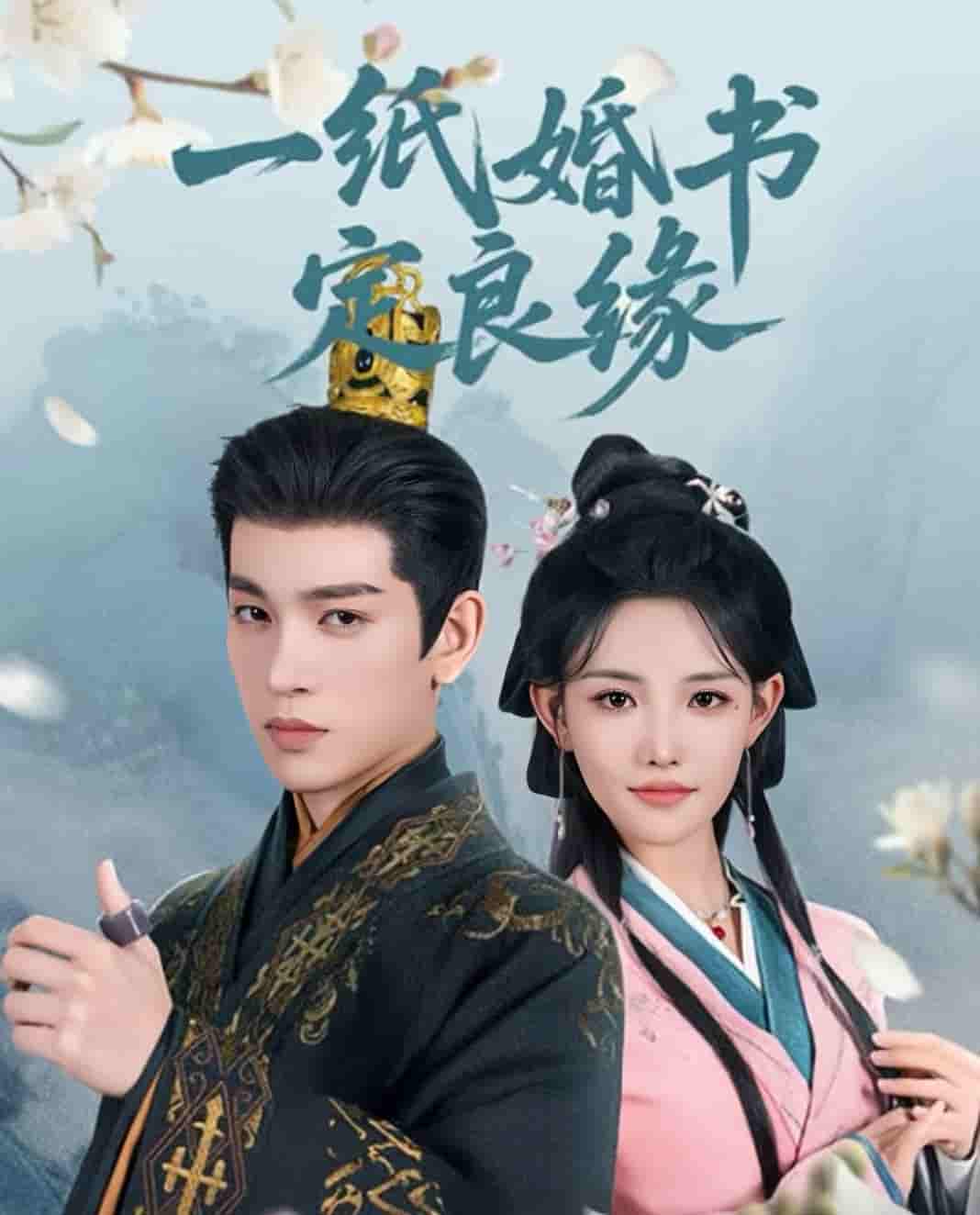 一纸婚书定良缘海报