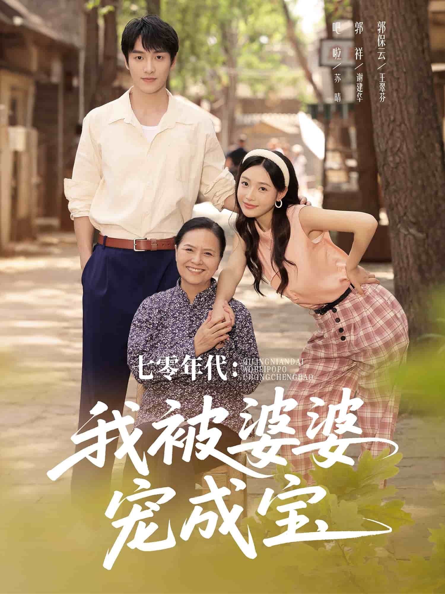 七零年代我被婆婆宠成宝海报