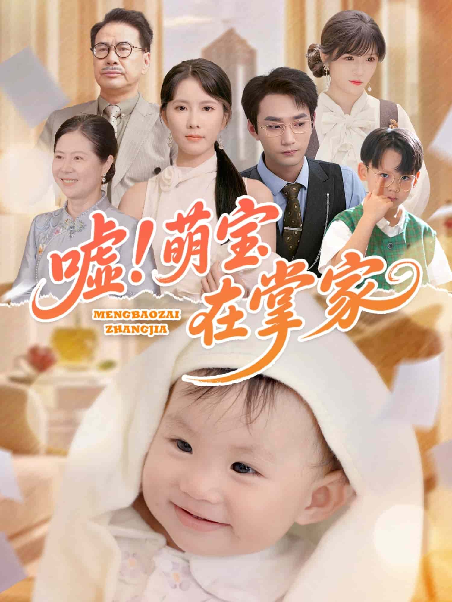 嘘!萌宝在掌家海报