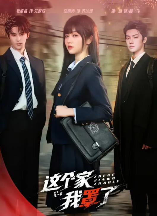 这个家我罩了海报